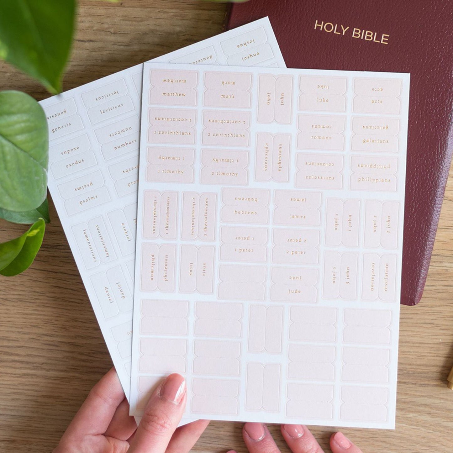 Blush and Cream Bible Tabs- Small