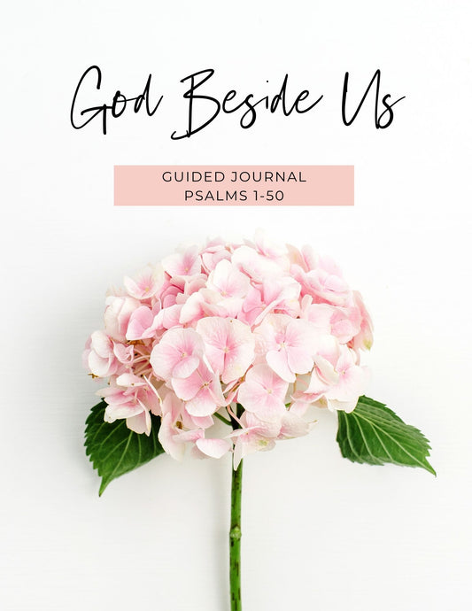 Psalms 1-50 Guided Journal